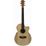 Cole Clark AN Grand Auditorium 2 Series Bunya-Blackwood Acoustic Guitar