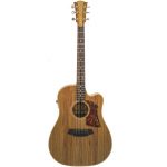 Cole Clark FL Dreadnought 2 Series Blackwood-Blackwood Acoustic Guitar