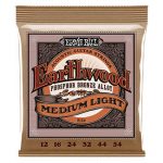 Ernie Ball 12-54 Earthwood Medium Light Acoustic Strings