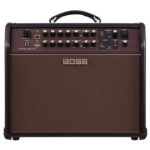 Boss Acoustic Singer Pro