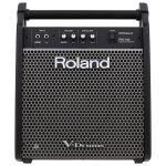 Roland PM-100 Personal Monitor