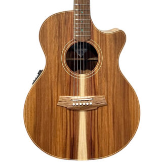 Cole Clark AN2EC BLBL-AE Body View