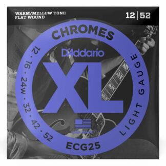 Daddario ECG25 Electric Strings