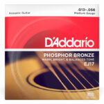 Daddario EJ17 Strings