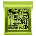 Ernie Ball Regular Slinky