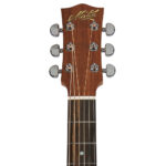 Maton Performer Acoustic/Electric Guitar Headstock Front