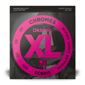 D'Addario ECB81S Bass Strings