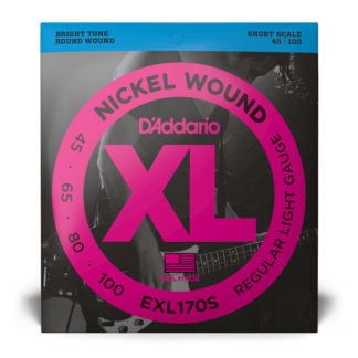 D'Addario EXL170S Bass Strings