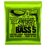 Ernie Ball Regular Slinky 45-130 5 String Set
