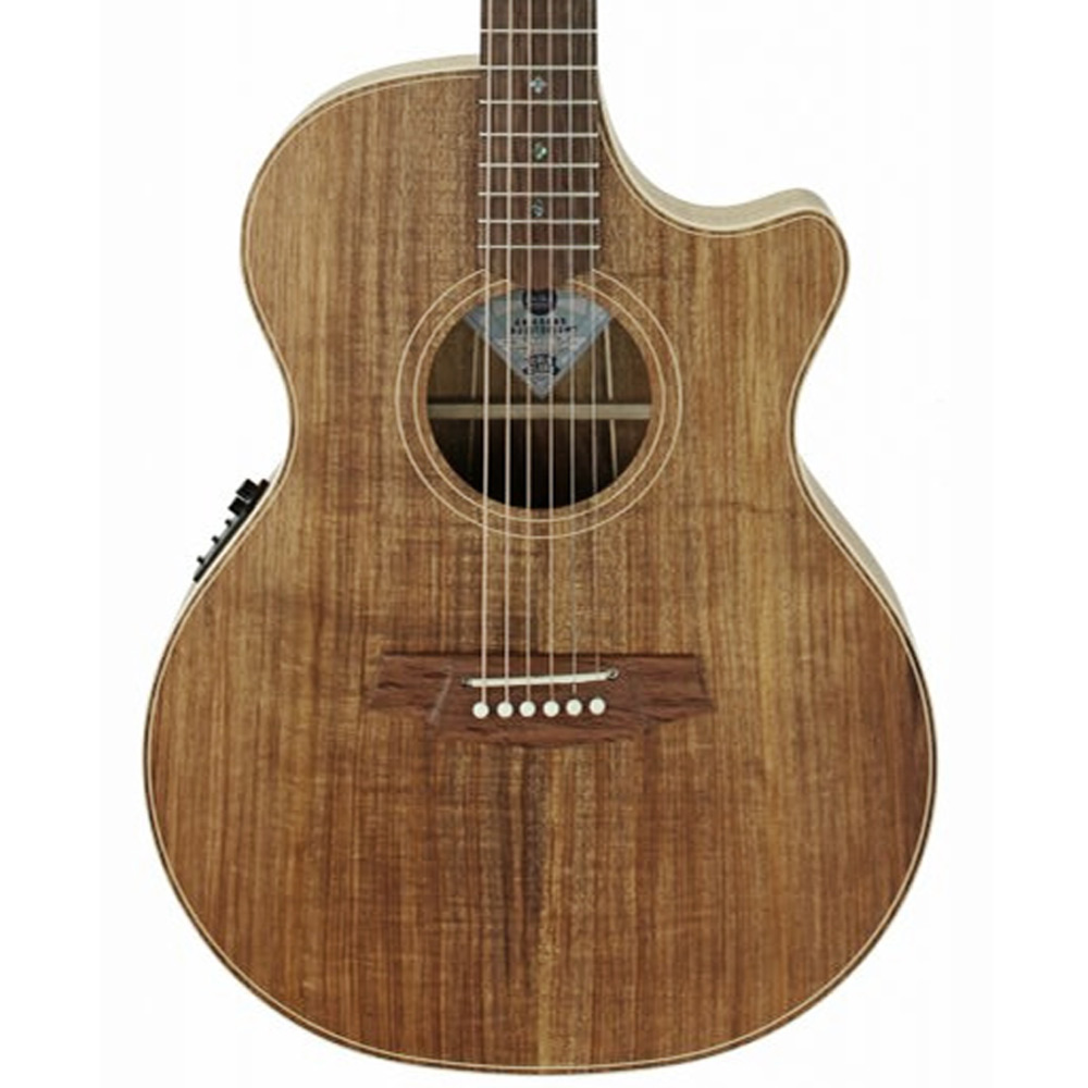 Cole Clark TL Thinline 2 Series Blackwood - Blackwood Acoustic Guitar -  World of Music