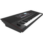 Roland E-X50 Arranger Keyboard Left Angle