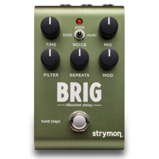 Strymon Big dBucket Digital Delay Front