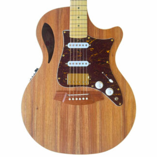 Cole Clark True Hybrid TL2EC HSS Blackwood - Blackwood Guitar Front