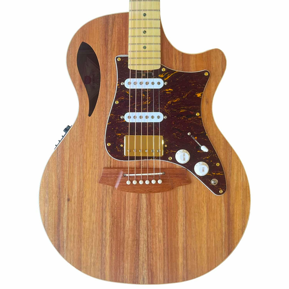 Cole Clark True Hybrid TL2EC HSS Blackwood - Blackwood Guitar Front