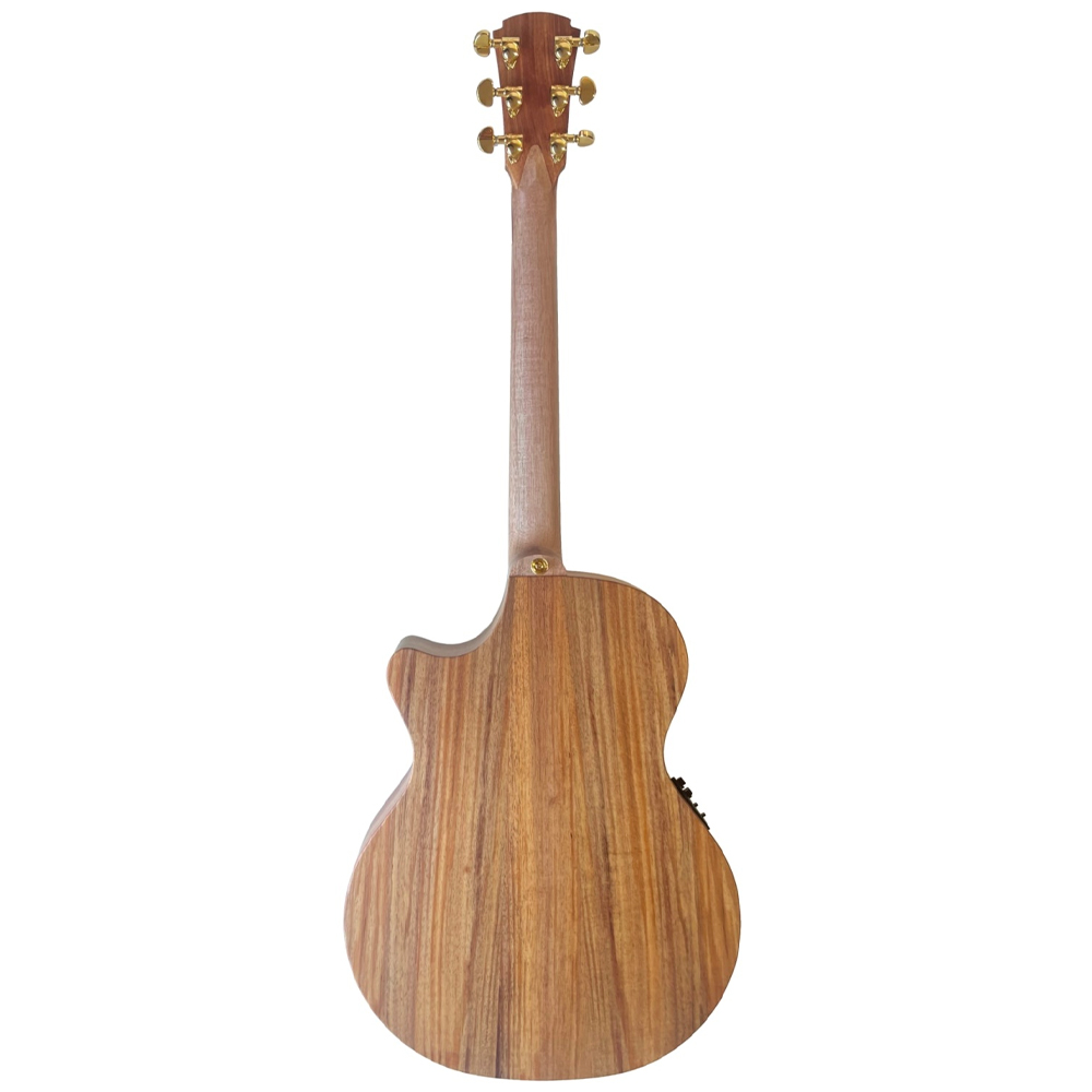 Cole Clark True Hybrid TL2EC HSS Blackwood - Blackwood Guitar Full Rear