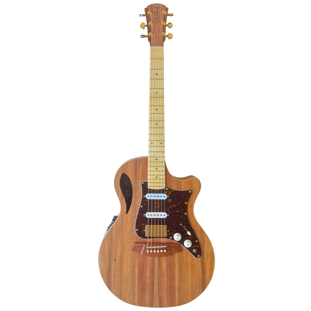 Cole Clark True Hybrid TL2EC HSS Blackwood - Blackwood Guitar Full