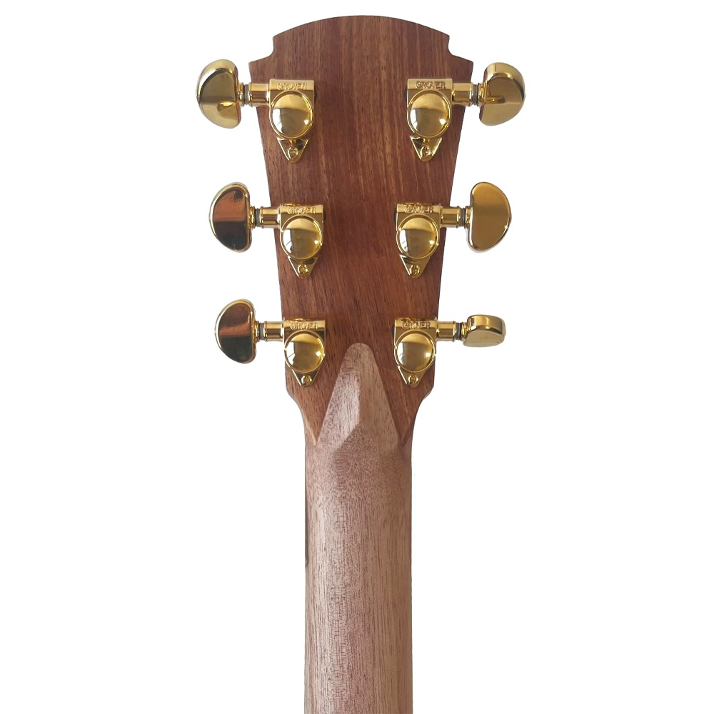 Cole Clark True Hybrid TL2EC HSS Blackwood - Blackwood Guitar Headstock Rear