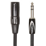 Roland RCC-10-TRXM 10ft 1/4" TRS to XLRM Cable