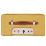 Fender 57 Custom Champ Controls