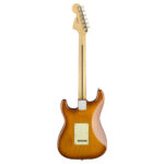 Fender American Performer Stratocaster Honey Burst back view