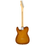 Fender American Performer Telecaster Honey Burst back view