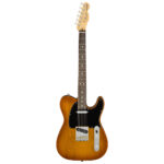 Fender American Performer Telecaster Honey Burst full view
