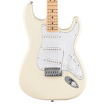 Fender Standard Stratocaster Olympic White Close view