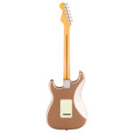 Fender American Professional Classic Stratocaster Rosewood Faded Firemist Gold back view