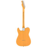 Fender American Professional Classic Telecaster Maple Butterscotch Blonde back view