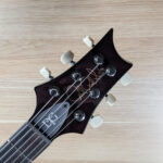 PRS DGT Birds (Goldtop) - Image 3
