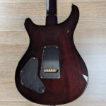 PRS DGT Birds (Goldtop) - Image 2