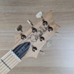PRS NF 53 (Black Doghair) - Image 3