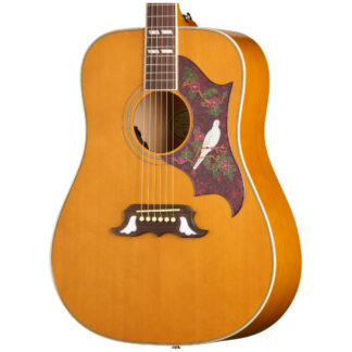 Epiphone Dove Studio Natural Body View