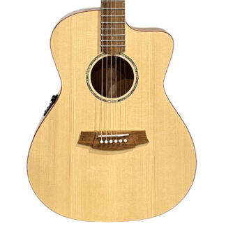 Cole Clark AN1EC-SMAH Body View