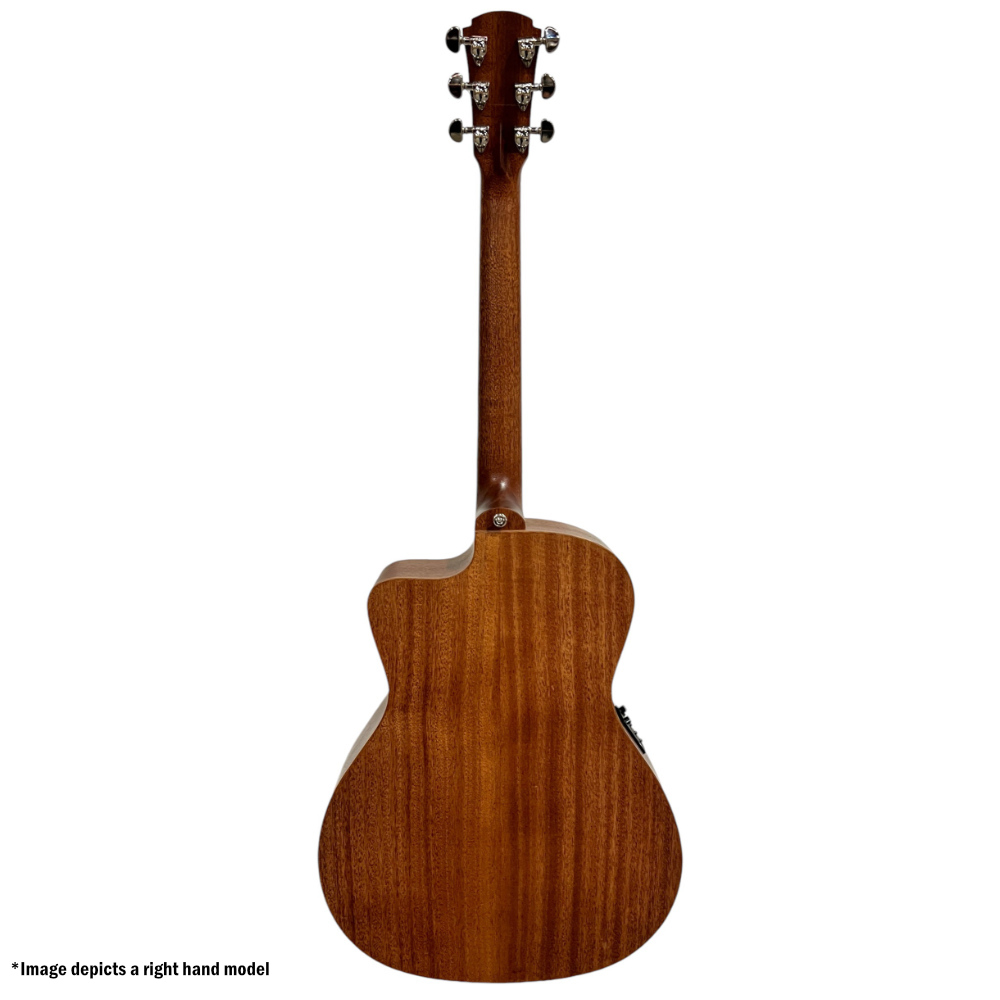 Cole Clark SAN1EC-LH-SMAH Back View