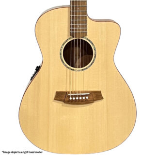 Cole Clark SAN1EC-LH-SMAH Body View