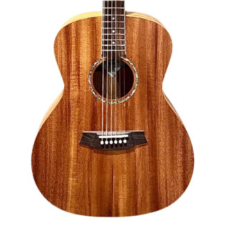 Cole Clark SAN1 MMAH Body View