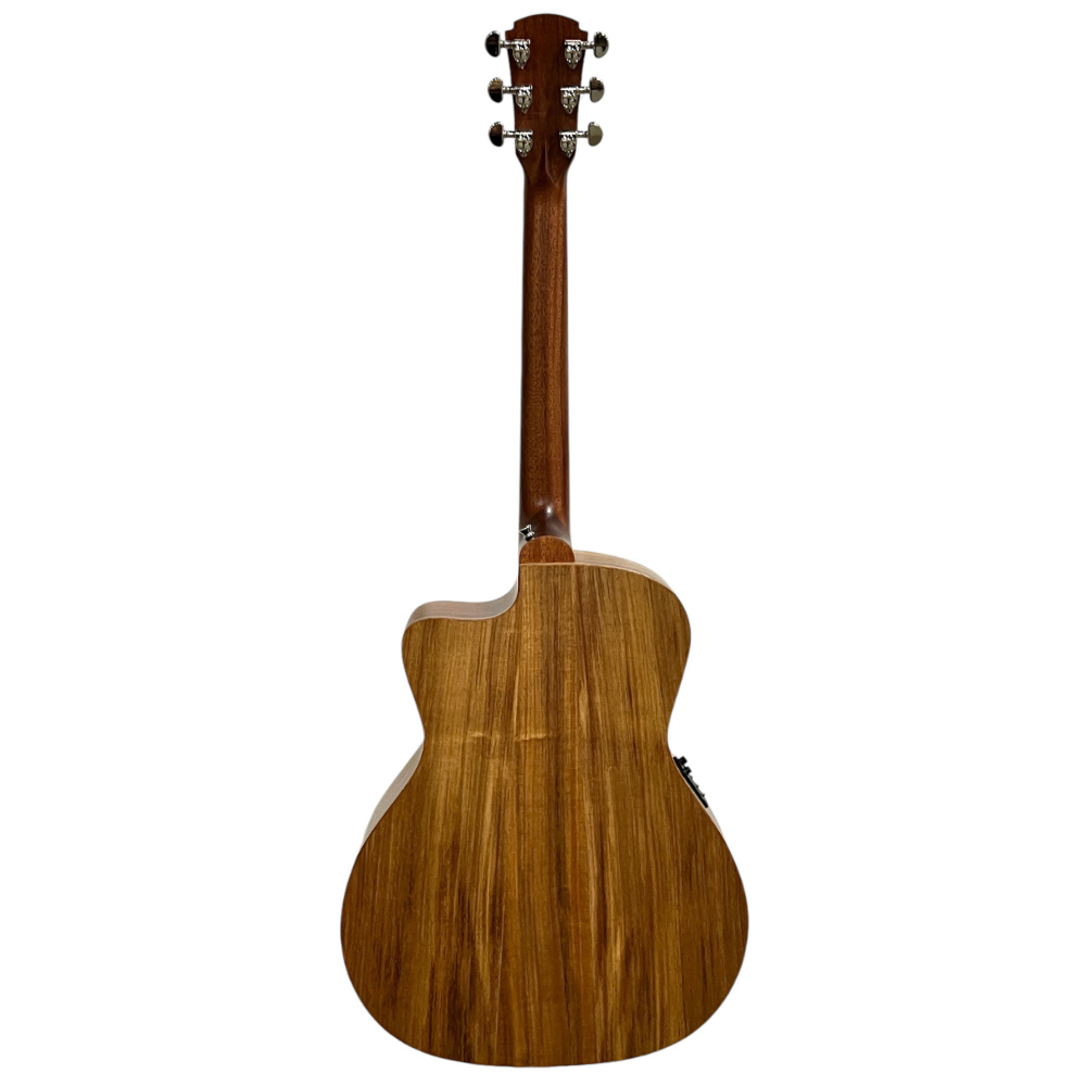 Cole Clark SAN1EC-BLBL Back View
