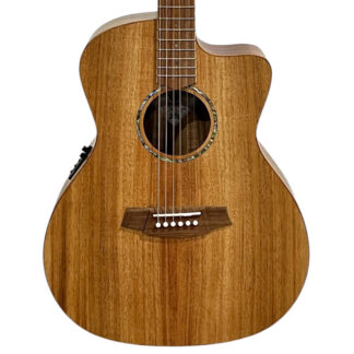 Cole Clark SAN1EC-BLBL Body View