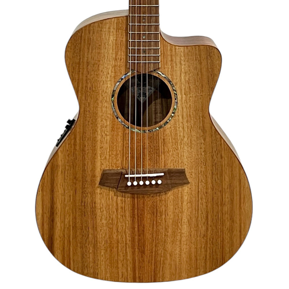 Cole Clark SAN1EC-BLBL Body View