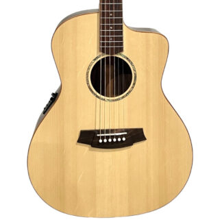 Cole Clark SAN1EC-SR Body View