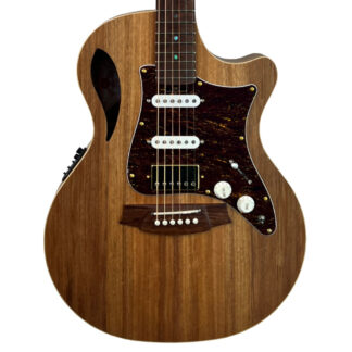 Cole Clark TL2EC-BLBL-AE-HSS Body View