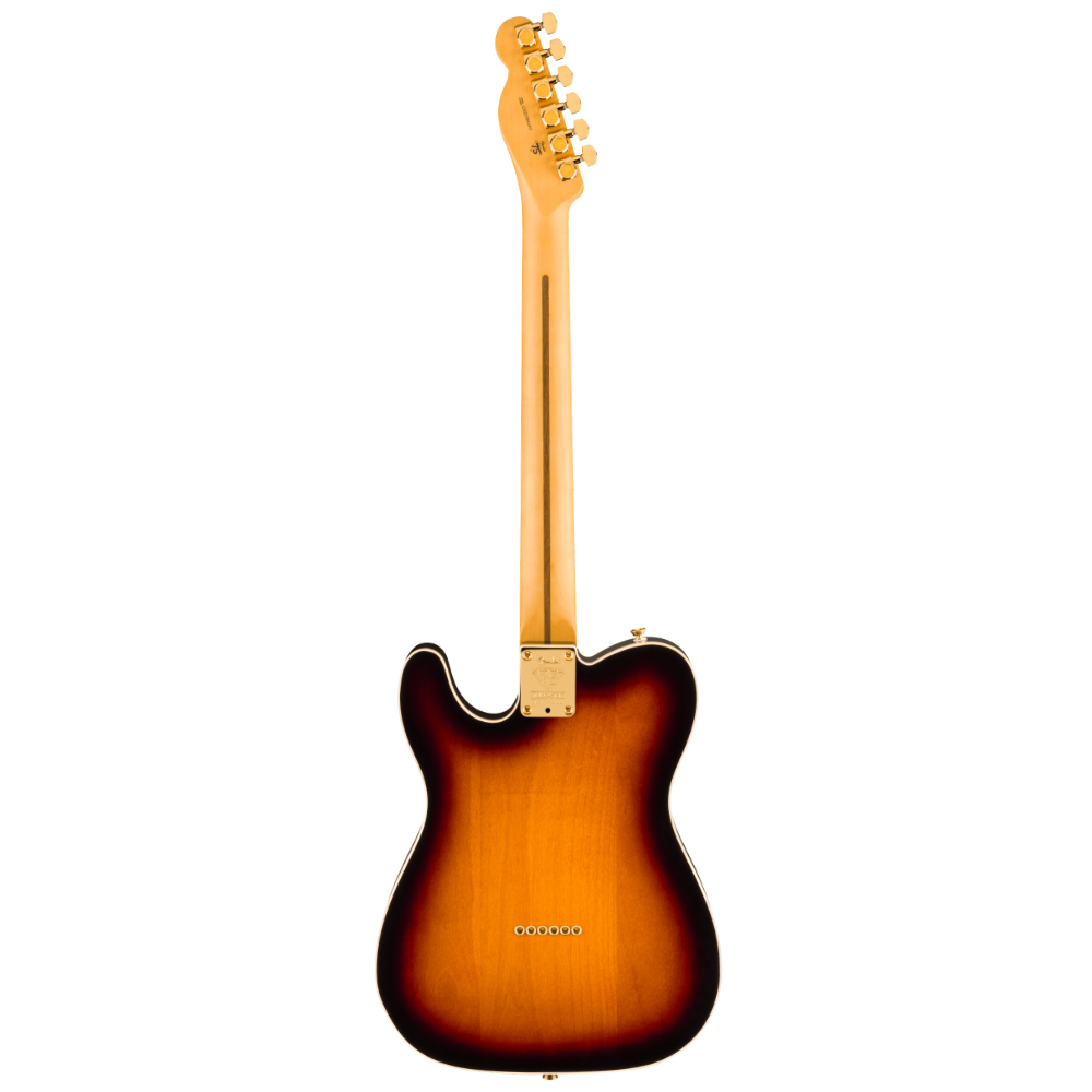 Fender 75th Anniversary American Professional Custom Telecaster 2-Colour Sunburst Back View