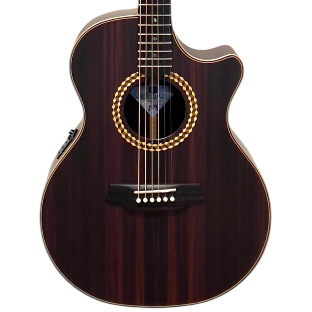 Cole Clark Recording AN2EC All Rosewood Body View