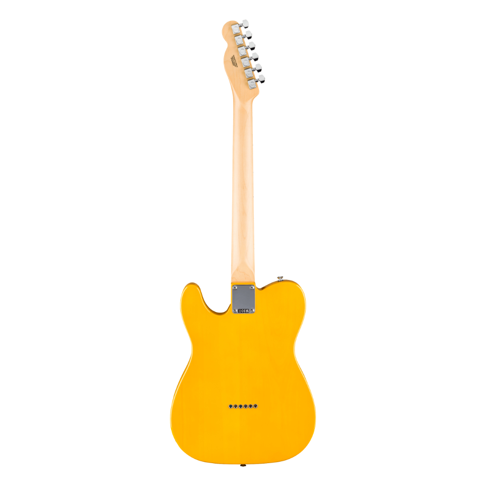 Fender Standard Telecaster Butterscotch Blonde Back View