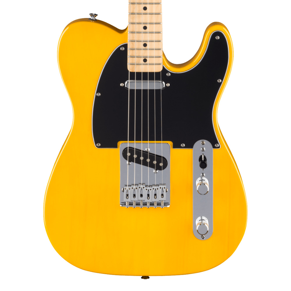 Fender Standard Telecaster Butterscotch Blonde Body View