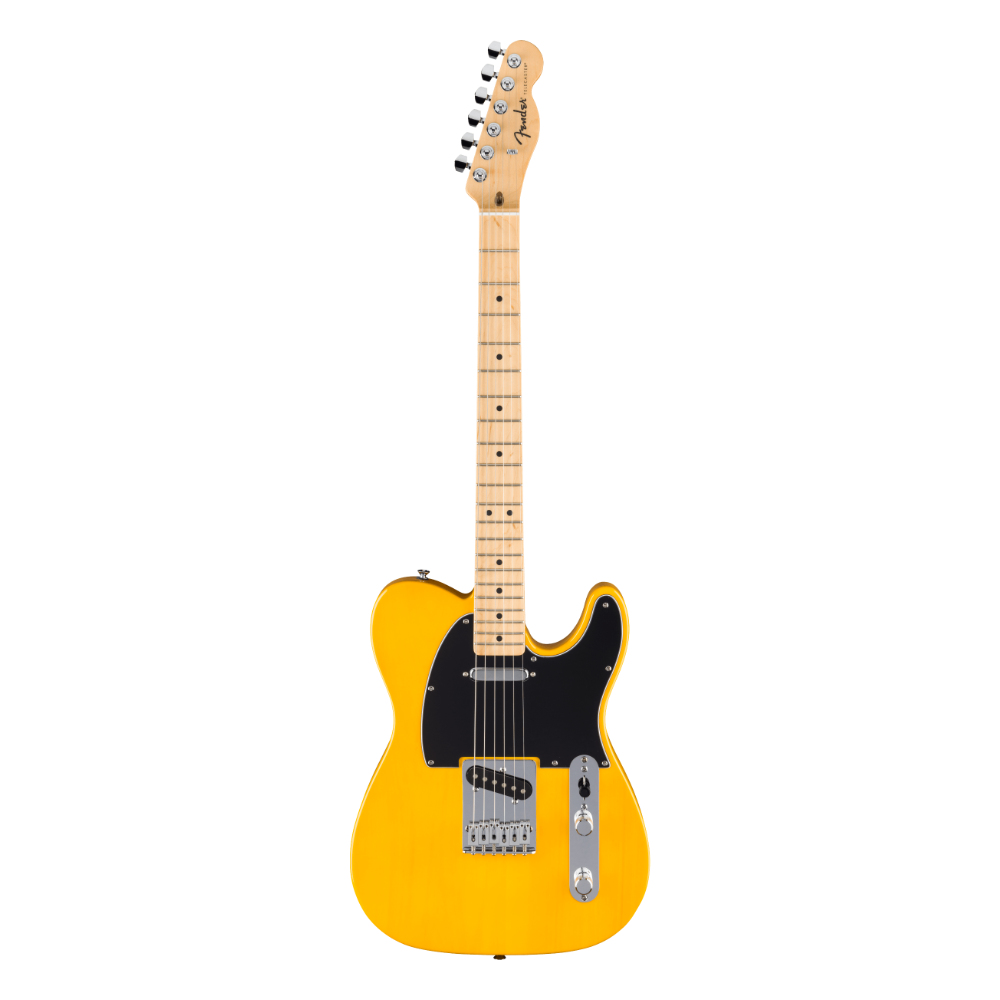 Fender Standard Telecaster Butterscotch Blonde Full View